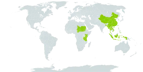 Cyanotis axillaris world distribution map, present in Bangladesh, China, Indonesia, Kenya, Lao People's Democratic Republic, Myanmar, Nepal, Philippines, Sudan, Chad, Thailand, Taiwan, Province of China, Tanzania, United Republic of, and Viet Nam