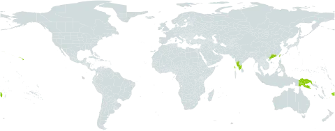 Cyanthillium cinereum var. parviflorum world distribution map, present in China, Fiji, India, Papua New Guinea, Taiwan, Province of China, and United States of America