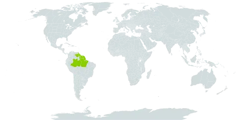 Cyathea surinamensis world distribution map, present in Brazil, French Guiana, Guyana, Suriname, Trinidad and Tobago, and Venezuela (Bolivarian Republic of)