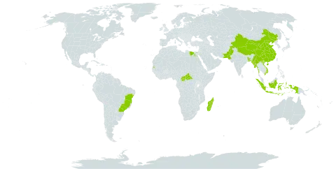 Cymbopogon martini world distribution map, present in Andorra, Bangladesh, Brazil, Central African Republic, China, Egypt, Indonesia, Madagascar, Myanmar, Nepal, Pakistan, Seychelles, and Viet Nam