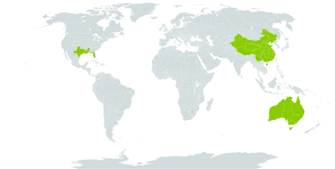 Cymodocea world distribution map, present in Australia, China, and United States of America