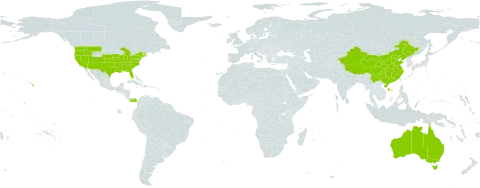 Cynodon world distribution map, present in Australia, China, Panama, and United States of America