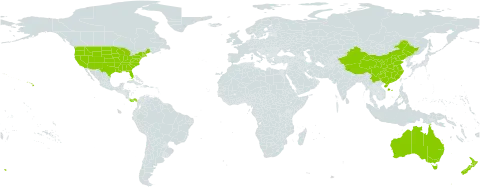 Cynoglossum world distribution map, present in Australia, China, New Zealand, Panama, and United States of America