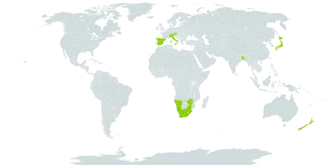 Cyperus congestus world distribution map, present in Austria, Bangladesh, Switzerland, Spain, Italy, Japan, Lesotho, Namibia, Norfolk Island, New Zealand, Réunion, United States of America, South Africa, and Zimbabwe