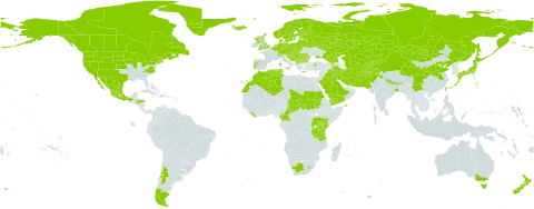 Cystopteris fragilis subsp. fragilis world distribution map, present in Afghanistan, Albania, Andorra, Argentina, Armenia, Australia, Austria, Belgium, Bulgaria, Bosnia and Herzegovina, Belarus, Bhutan, Canada, Switzerland, Chile, China, Cameroon, Czech Republic, Germany, Denmark, Algeria, Spain, Estonia, Finland, Falkland Islands (Malvinas), France, United Kingdom of Great Britain and Northern Ireland, Georgia, Equatorial Guinea, Greece, Greenland, Honduras, Croatia, Hungary, India, Iran (Islamic Republic of), Iraq, Iceland, Italy, Japan, Kazakhstan, Kenya, Kyrgyzstan, Lebanon, Liberia, Liechtenstein, Lesotho, Lithuania, Luxembourg, Latvia, Morocco, Mexico, North Macedonia, Malta, Montenegro, Mongolia, Netherlands, Norway, Nepal, New Zealand, Pakistan, Poland, Portugal, Réunion, Romania, Russian Federation, Saudi Arabia, Sudan, Saint Pierre and Miquelon, Serbia, Slovakia, Slovenia, Sweden, Chad, Tajikistan, Turkmenistan, Tunisia, Turkey, Taiwan, Province of China, Tanzania, United Republic of, Uganda, Ukraine, Uruguay, United States of America, Uzbekistan, Yemen, and South Africa