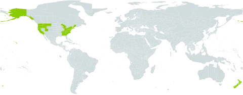 Cytisus world distribution map, present in New Zealand and United States of America