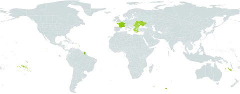 Cytisus hirsutus subsp. polytrichus world distribution map, present in Bulgaria, France, Greece, Romania, and Ukraine