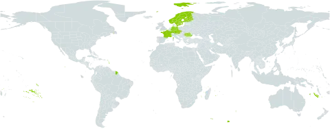 Dactylorhiza lapponica world distribution map, present in Austria, Czech Republic, Germany, Finland, France, Norway, Romania, and Sweden