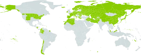 Dactylorhiza world distribution map, present in Afghanistan, Albania, Austria, Bulgaria, Belarus, Switzerland, Chile, China, Colombia, Cyprus, Czech Republic, Germany, Denmark, Algeria, Spain, Finland, France, Micronesia (Federated States of), Greece, Hungary, Ireland, Iran (Islamic Republic of), Iraq, Iceland, Italy, Japan, Kazakhstan, Kyrgyzstan, Morocco, Montenegro, Malaysia, Nicaragua, Netherlands, Norway, Nepal, Pakistan, Palau, Poland, Korea (Democratic People's Republic of), Portugal, Romania, Russian Federation, Sweden, Turks and Caicos Islands, Turkmenistan, Tunisia, Taiwan, Province of China, Ukraine, United States of America, and Uzbekistan
