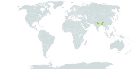 Dalbergia confertiflora world distribution map, present in Bangladesh and India