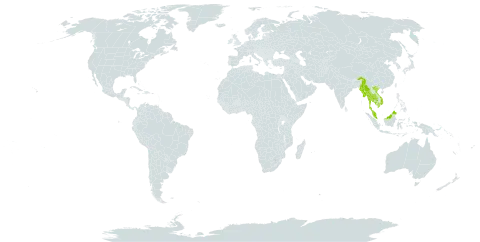 Dalbergia oliveri world distribution map, present in India, Cambodia, Myanmar, Malaysia, Thailand, and Viet Nam