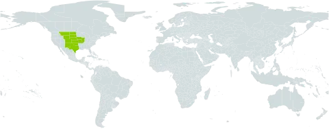 Dalea enneandra world distribution map, present in United States of America