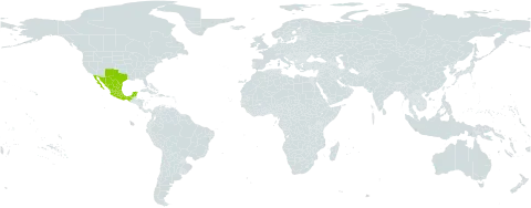 Dalea greggii world distribution map, present in Mexico and United States of America