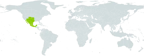 Dalea jamesii world distribution map, present in Mexico and United States of America