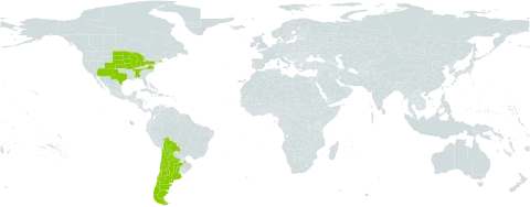 Dalea leporina world distribution map, present in Argentina, American Samoa, Bolivia (Plurinational State of), Chile, and United States of America