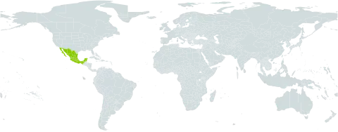 Dalea piptostegia world distribution map, present in Mexico