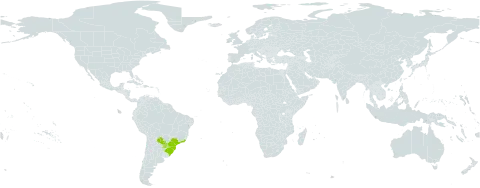 Dalechampia micromeria world distribution map, present in Brazil and Paraguay