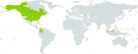 Danthonia spicata world distribution map, present in Åland Islands, Canada, Colombia, France, Micronesia (Federated States of), Georgia, Malaysia, Nicaragua, and United States of America