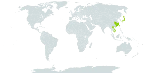 Daphniphyllum pentandrum world distribution map, present in China, Japan, Cambodia, Lao People's Democratic Republic, Taiwan, Province of China, and Viet Nam