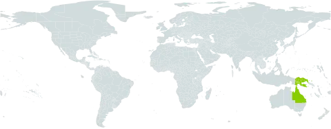 Decaisnina congesta world distribution map, present in Australia and Papua New Guinea