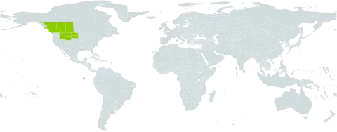 Delphinium bicolor world distribution map, present in Canada and United States of America