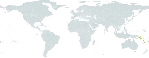 Dendrobium kietaense world distribution map, present in Solomon Islands and Vanuatu