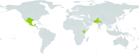 Dermatophyllum secundiflorum world distribution map, present in Ghana, India, Kenya, Mexico, Pakistan, and United States of America