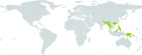 Derris cuneifolia world distribution map, present in Bangladesh, Brunei Darussalam, Bhutan, China, Indonesia, India, Myanmar, Malaysia, Nepal, Philippines, Papua New Guinea, Solomon Islands, Thailand, and Taiwan, Province of China