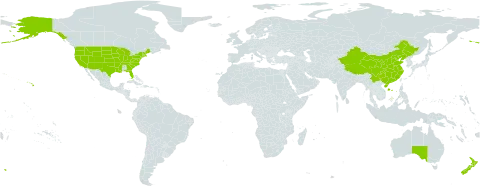 Descurainia world distribution map, present in Australia, China, New Zealand, and United States of America