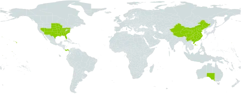 Desmanthus world distribution map, present in Australia, China, Panama, and United States of America