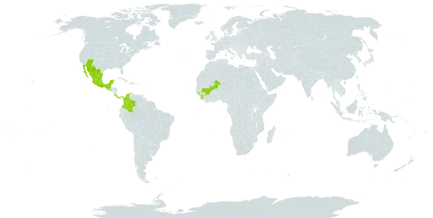 Desmodium angustifolium world distribution map, present in Colombia, Costa Rica, Guinea, Guinea-Bissau, Guatemala, Mexico, Mali, Panama, Sierra Leone, El Salvador, and United States of America