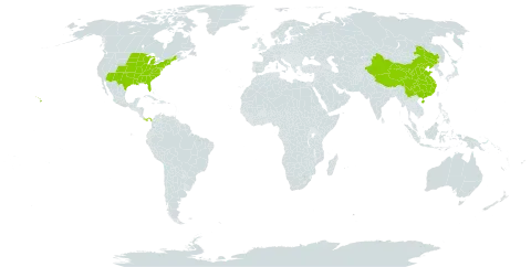 Desmodium world distribution map, present in China, Panama, and United States of America