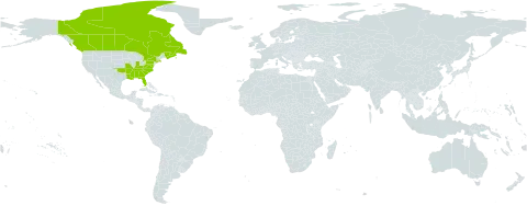 Desmodium marilandicum world distribution map, present in Canada and United States of America