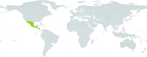 Desmodium nicaraguense world distribution map, present in Guatemala, Mexico, Nicaragua, and El Salvador