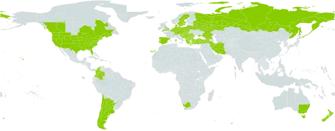 Dianthus armeria world distribution map, present in Albania, Andorra, Argentina, Armenia, Australia, Austria, Azerbaijan, Belgium, Bulgaria, Bosnia and Herzegovina, Belarus, Canada, Switzerland, Chile, Colombia, Czech Republic, Germany, Denmark, Spain, France, United Kingdom of Great Britain and Northern Ireland, Georgia, Greece, Croatia, Hungary, Iran (Islamic Republic of), Italy, Liechtenstein, Lithuania, Luxembourg, North Macedonia, Montenegro, Netherlands, New Zealand, Poland, Portugal, Romania, Russian Federation, Serbia, Slovakia, Slovenia, Sweden, Turkey, Ukraine, United States of America, and South Africa