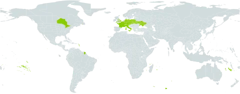 Dianthus gratianopolitanus world distribution map, present in Austria, Belgium, Canada, Switzerland, Czech Republic, Germany, France, United Kingdom of Great Britain and Northern Ireland, Italy, Luxembourg, Poland, Slovakia, and Ukraine