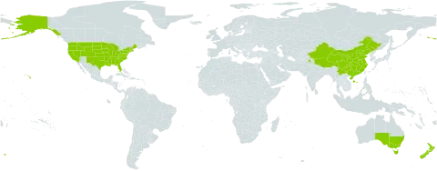 Dianthus world distribution map, present in Australia, China, India, New Zealand, and United States of America