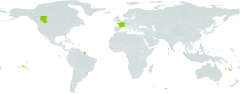 Dianthus seguieri world distribution map, present in Canada and France