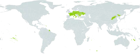 Dianthus superbus subsp. alpestris world distribution map, present in Austria, Bulgaria, Switzerland, China, Czech Republic, Germany, France, Hungary, Italy, Liechtenstein, North Macedonia, Montenegro, Poland, Romania, Slovakia, and Ukraine