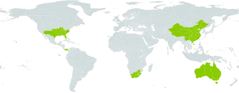 Dicliptera world distribution map, present in Australia, China, Panama, United States of America, and South Africa