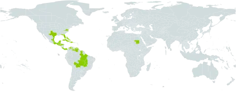 Dicliptera sexangularis world distribution map, present in Bahamas, Belize, Bolivia (Plurinational State of), Brazil, Colombia, Costa Rica, Cuba, Dominican Republic, Guatemala, French Guiana, Honduras, Haiti, Jamaica, Mexico, Panama, Puerto Rico, Sudan, El Salvador, Suriname, Turks and Caicos Islands, Trinidad and Tobago, United States of America, and Venezuela (Bolivarian Republic of)