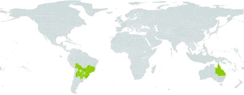 Dicliptera squarrosa world distribution map, present in Argentina, Australia, Bolivia (Plurinational State of), Brazil, Paraguay, and Uruguay