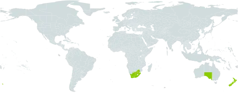 Dierama pendulum world distribution map, present in Australia, New Zealand, and South Africa