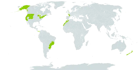 Digitalis purpurea world distribution map, present in Brazil, France, United Kingdom of Great Britain and Northern Ireland, Morocco, New Zealand, Panama, and United States of America