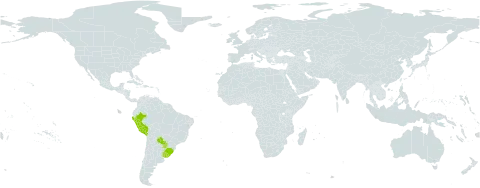 Digitaria swalleniana world distribution map, present in Brazil, Peru, Paraguay, and Uruguay