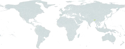 Dillenia mansonii world distribution map, present in India