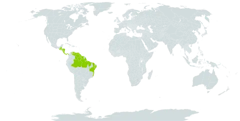 Dimerandra emarginata world distribution map, present in Belize, Brazil, Costa Rica, Guatemala, Guyana, Honduras, Nicaragua, Panama, Suriname, and Venezuela (Bolivarian Republic of)