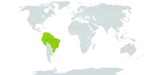 Dioclea macrocarpa world distribution map, present in American Samoa, Brazil, Colombia, Ecuador, Guyana, Peru, Suriname, and Venezuela (Bolivarian Republic of)