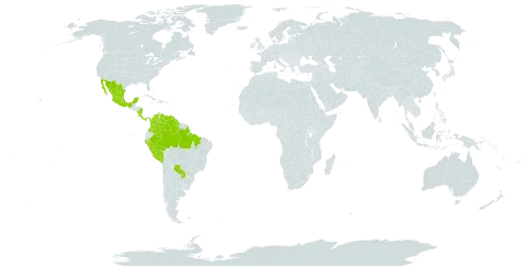 Dioclea rosea world distribution map, present in American Samoa, Brazil, Colombia, Costa Rica, Guyana, Mexico, Nicaragua, Panama, Peru, Paraguay, Singapore, and Venezuela (Bolivarian Republic of)