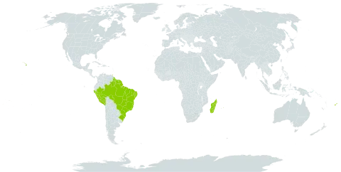 Dioclea violacea world distribution map, present in American Samoa, Brazil, Fiji, French Guiana, Guyana, Madagascar, Mauritius, Peru, Suriname, Trinidad and Tobago, and United States of America